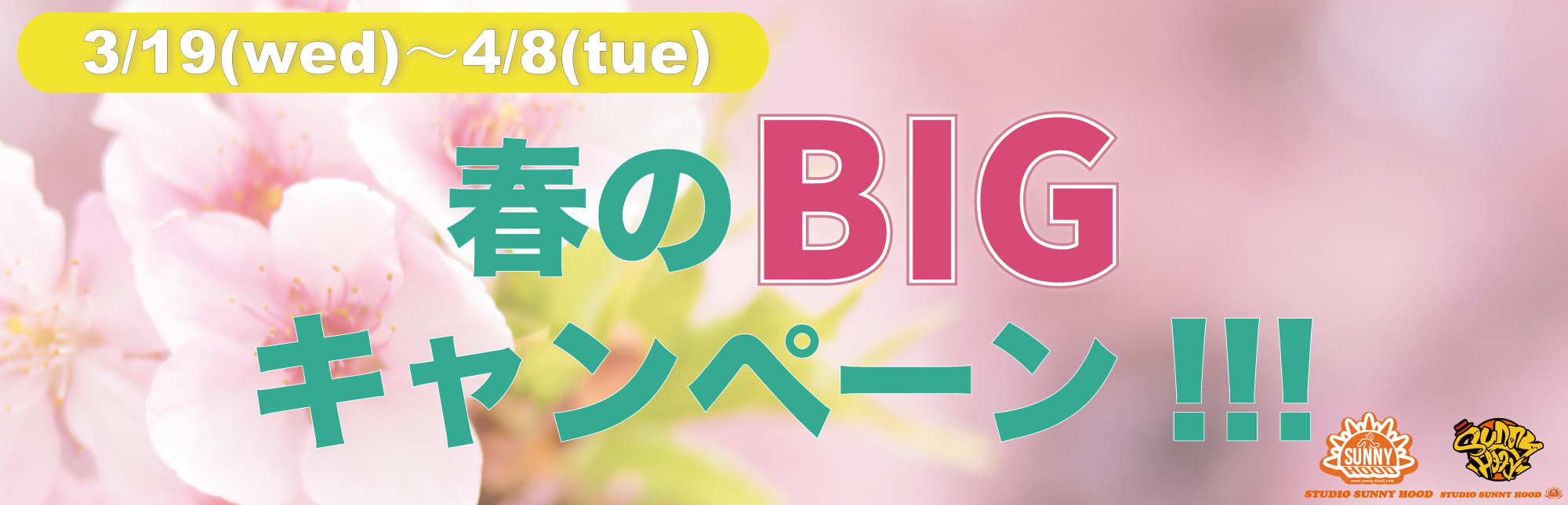 春のBIGキャンペーン